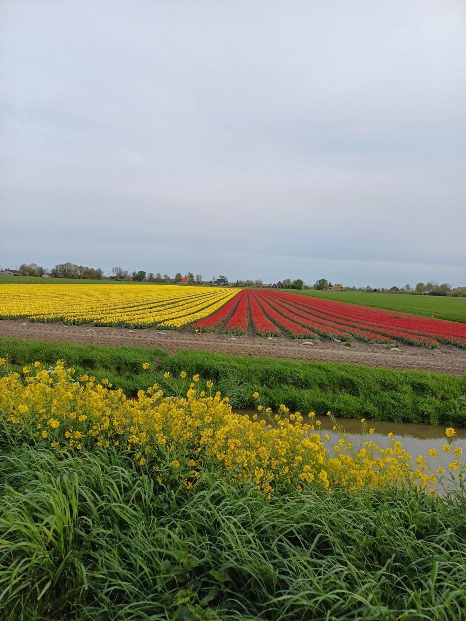 Вилла Kota Wadway Spanbroek Экстерьер фото