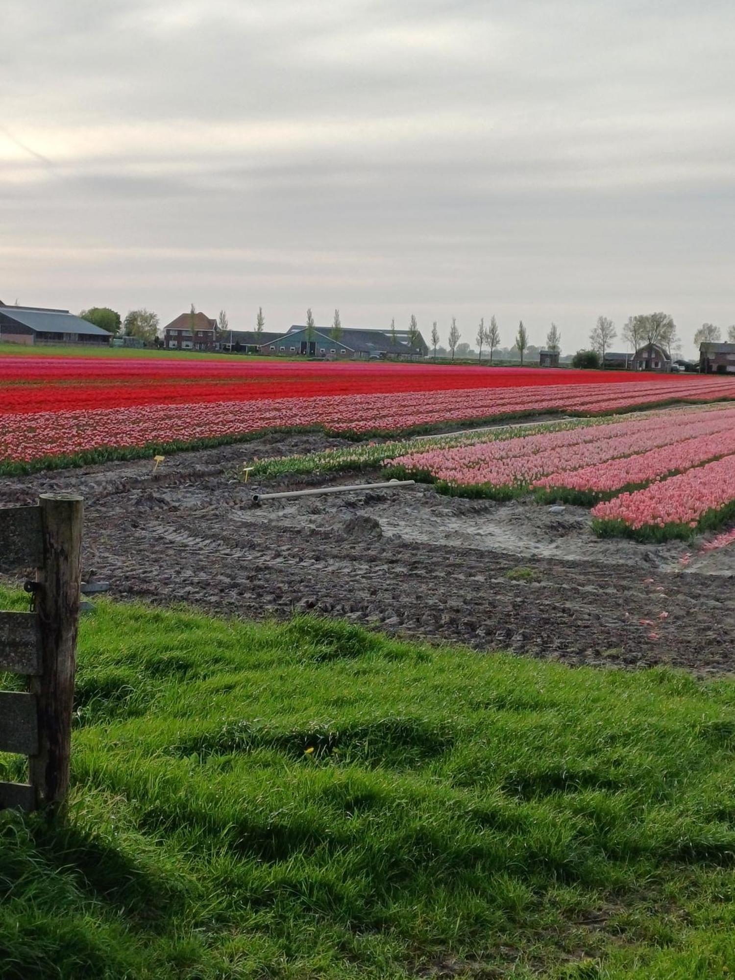 Вилла Kota Wadway Spanbroek Экстерьер фото
